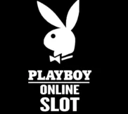Обзор слота Playboy